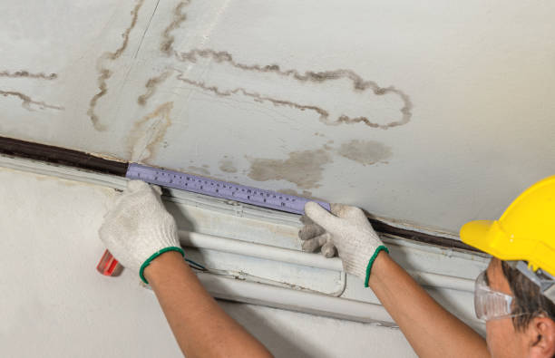 Reliable Mold Remediation contractor in Weehawken, NJ by Local Water Damage Repair